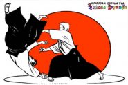 Aikido sport koji leči i vaspitava